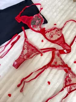 Liguero Velvet